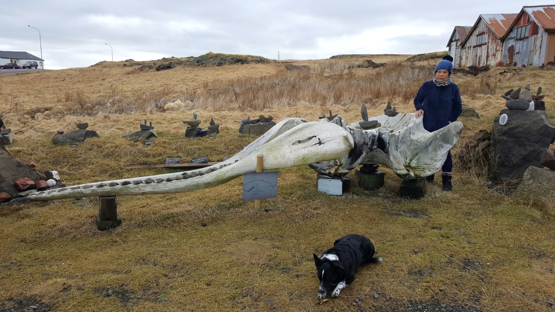 AT 20170308_084607 (68).jpg