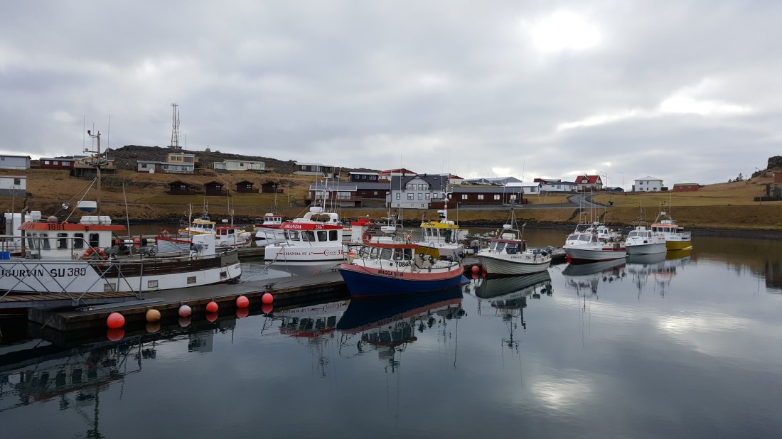 AT 20170308_084607 (73).jpg