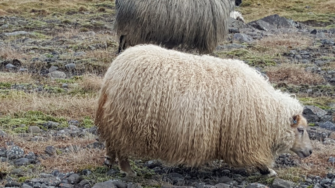 AT 20170308_084607 (85).jpg