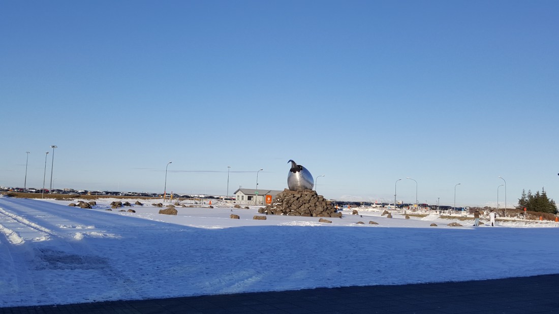 LSS 20170303_165614 (1)