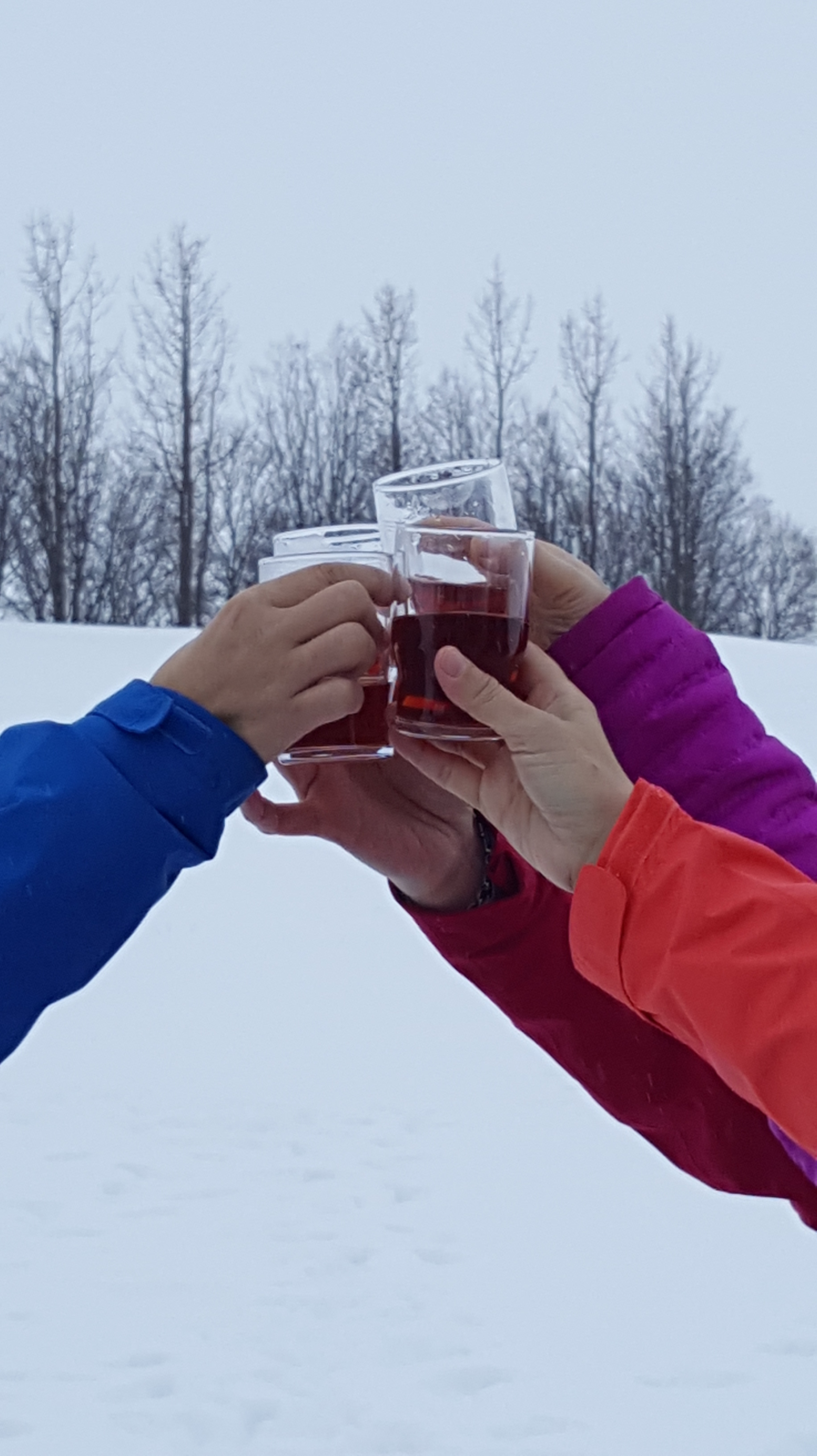 AT 20170308_084607 (296).jpg