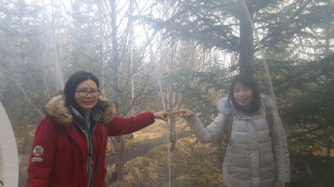 AT 20170312_182147 (33)