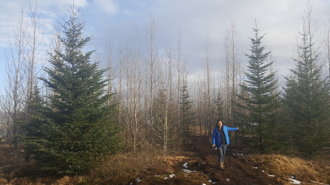 AT 20170312_182147 (34)