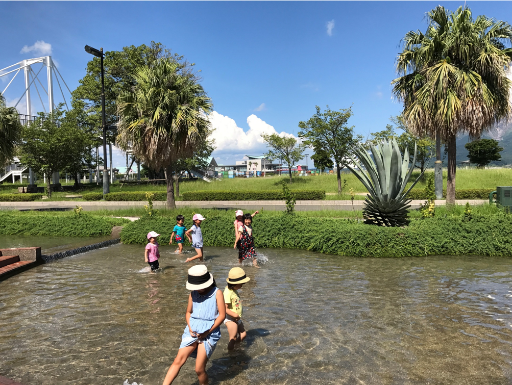 dolphin port child play