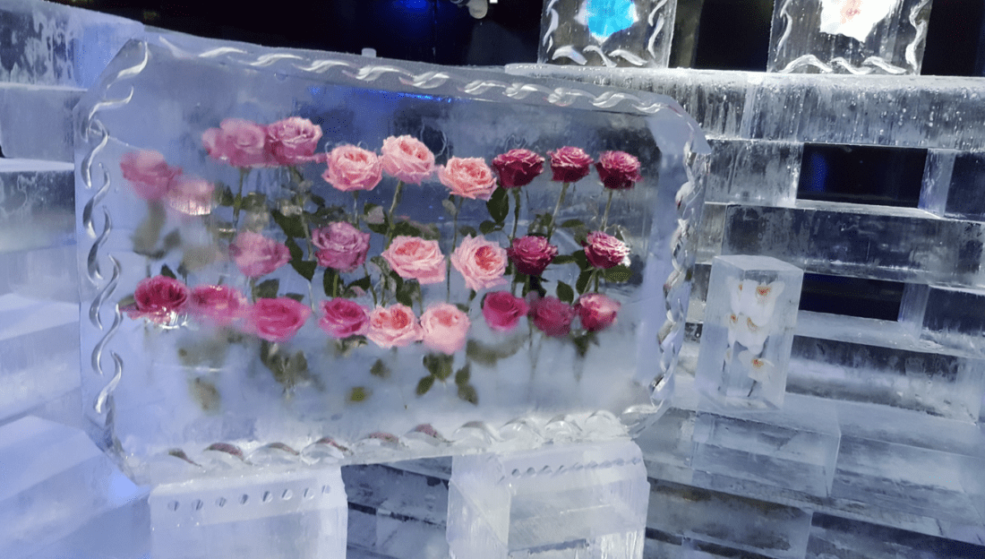 HTB ice flower cafe3