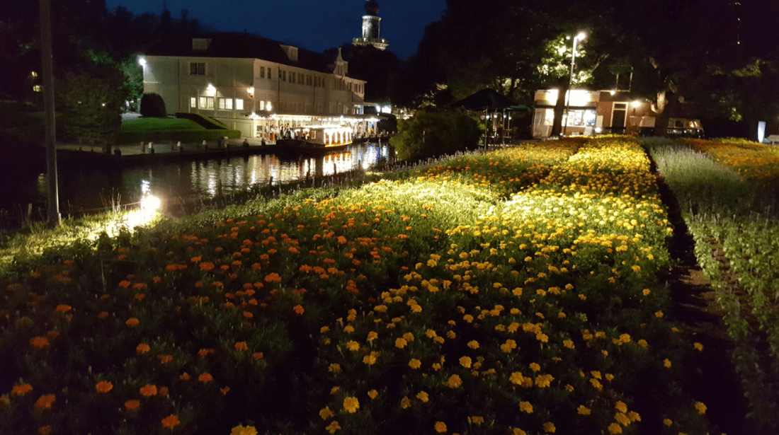 HTB to sky castle flowers