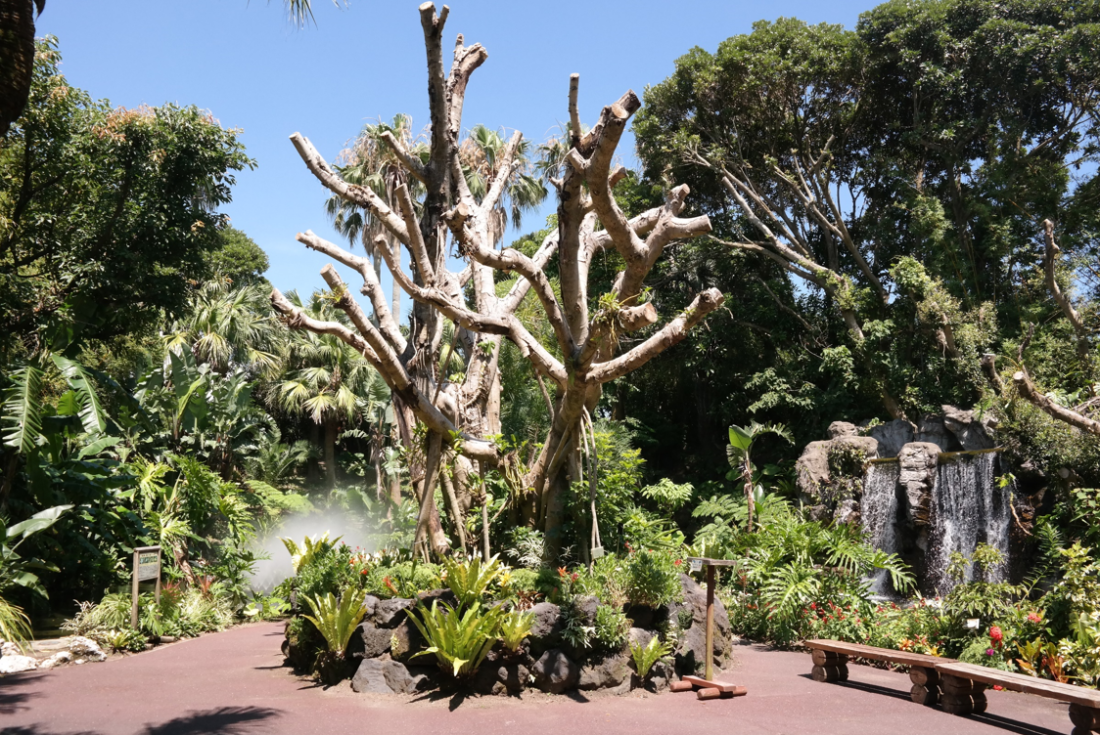 kago flower lanscape1