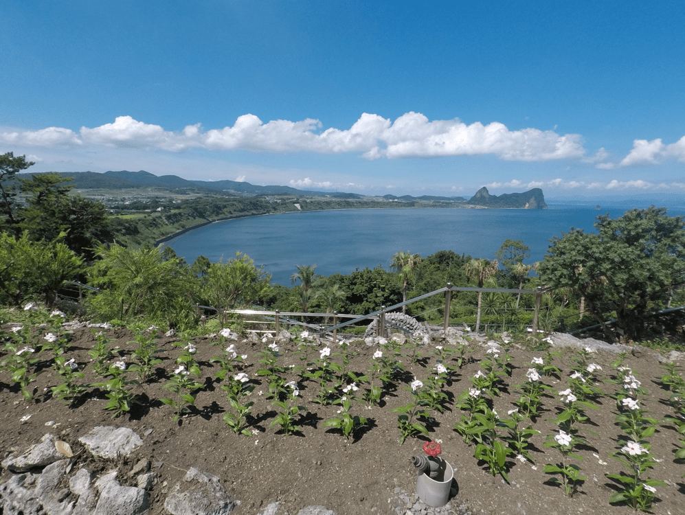 kago flower nice view