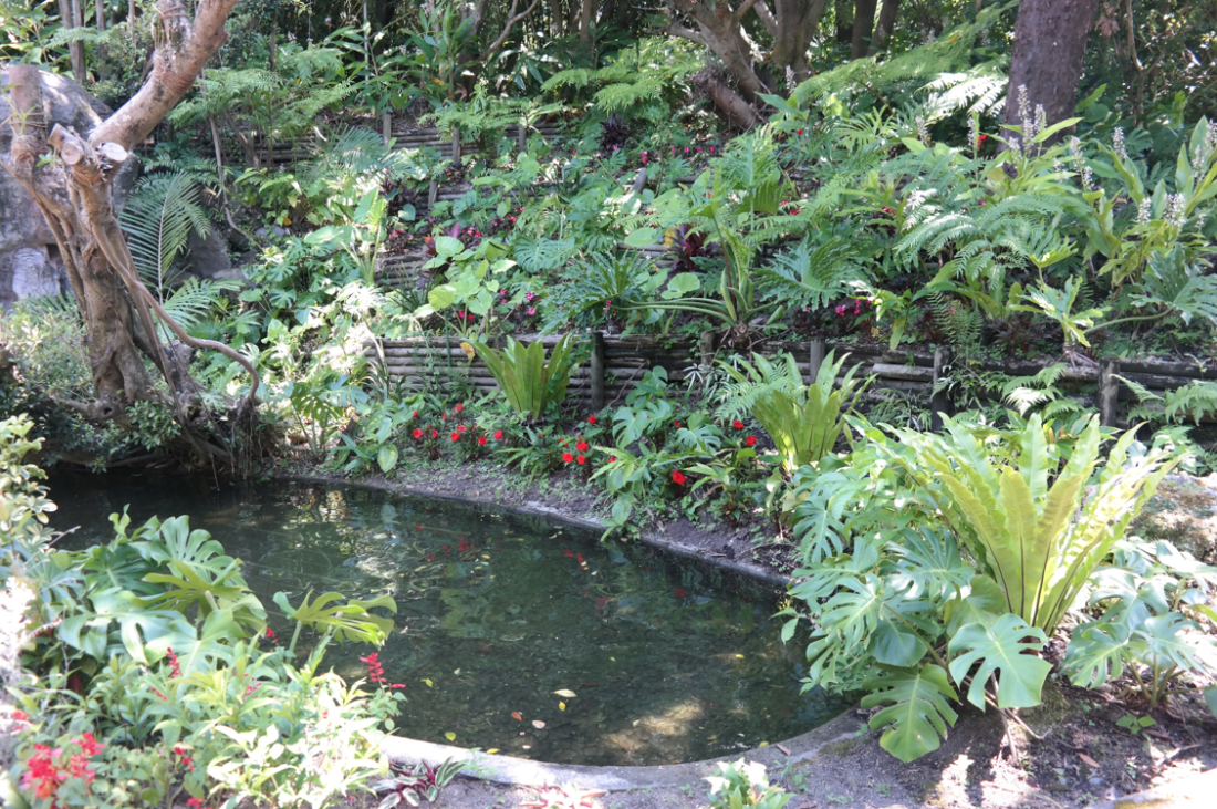 kago flower pond