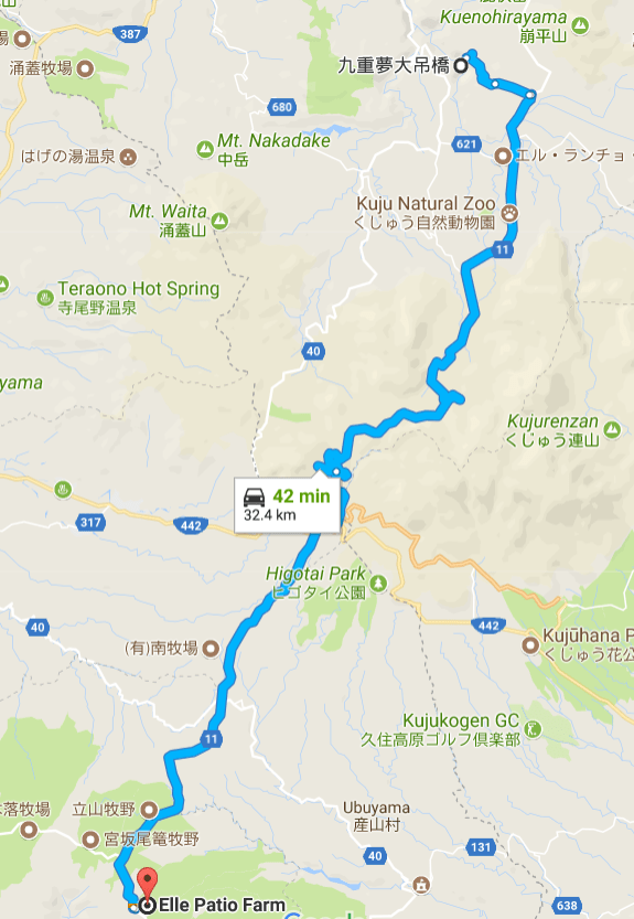 kokonoe to elle patio