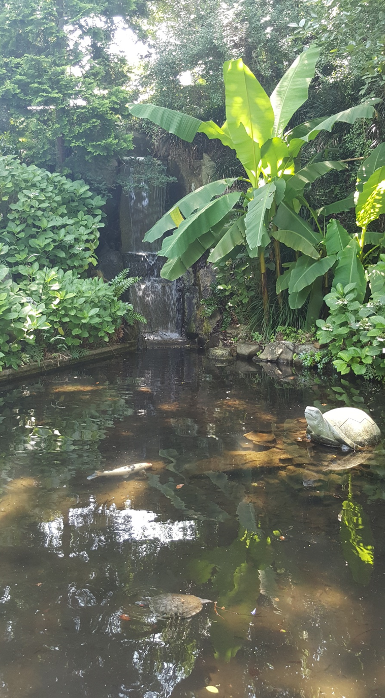 clover internal landscape4