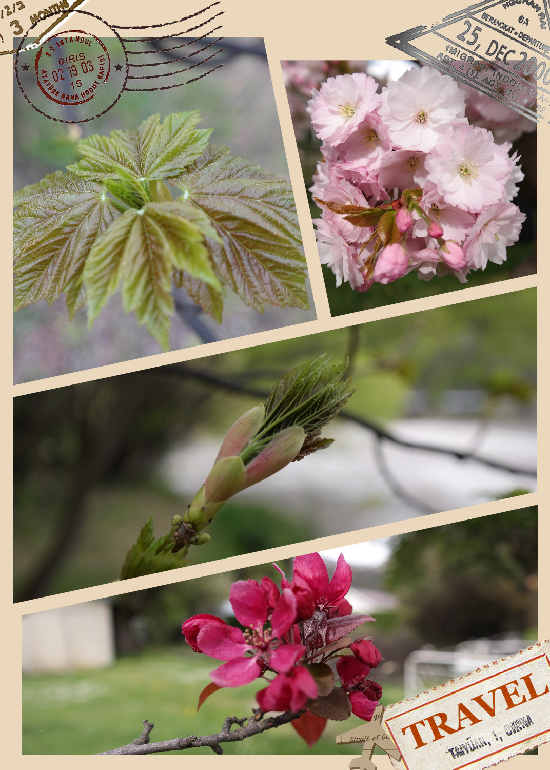 pt2014_10_12_23_36_07