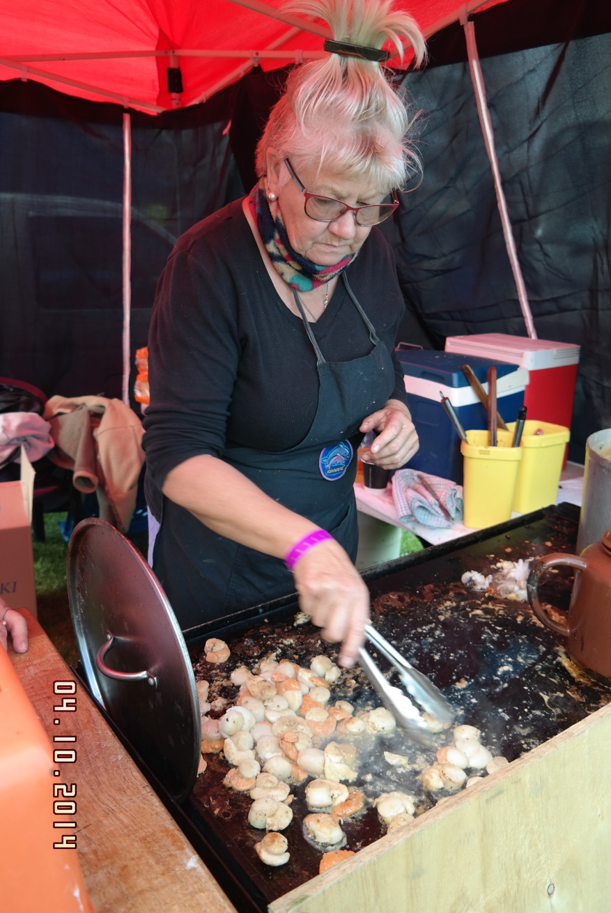 seafest scallops - beautiful hair clips