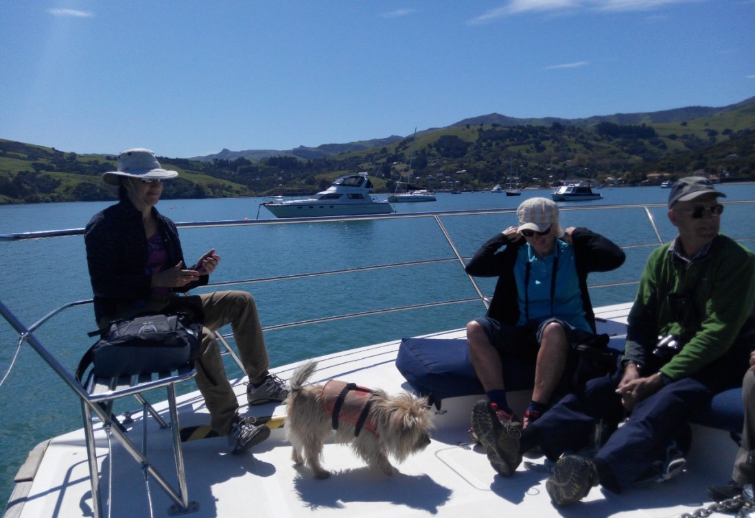 IMG_20141023_124603-1