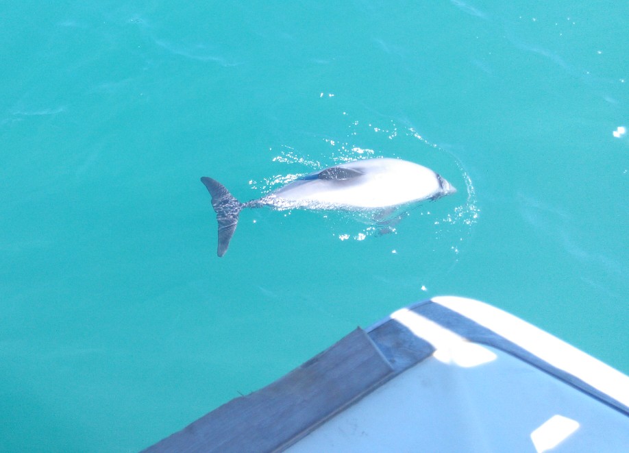 IMG_20141023_133255-1