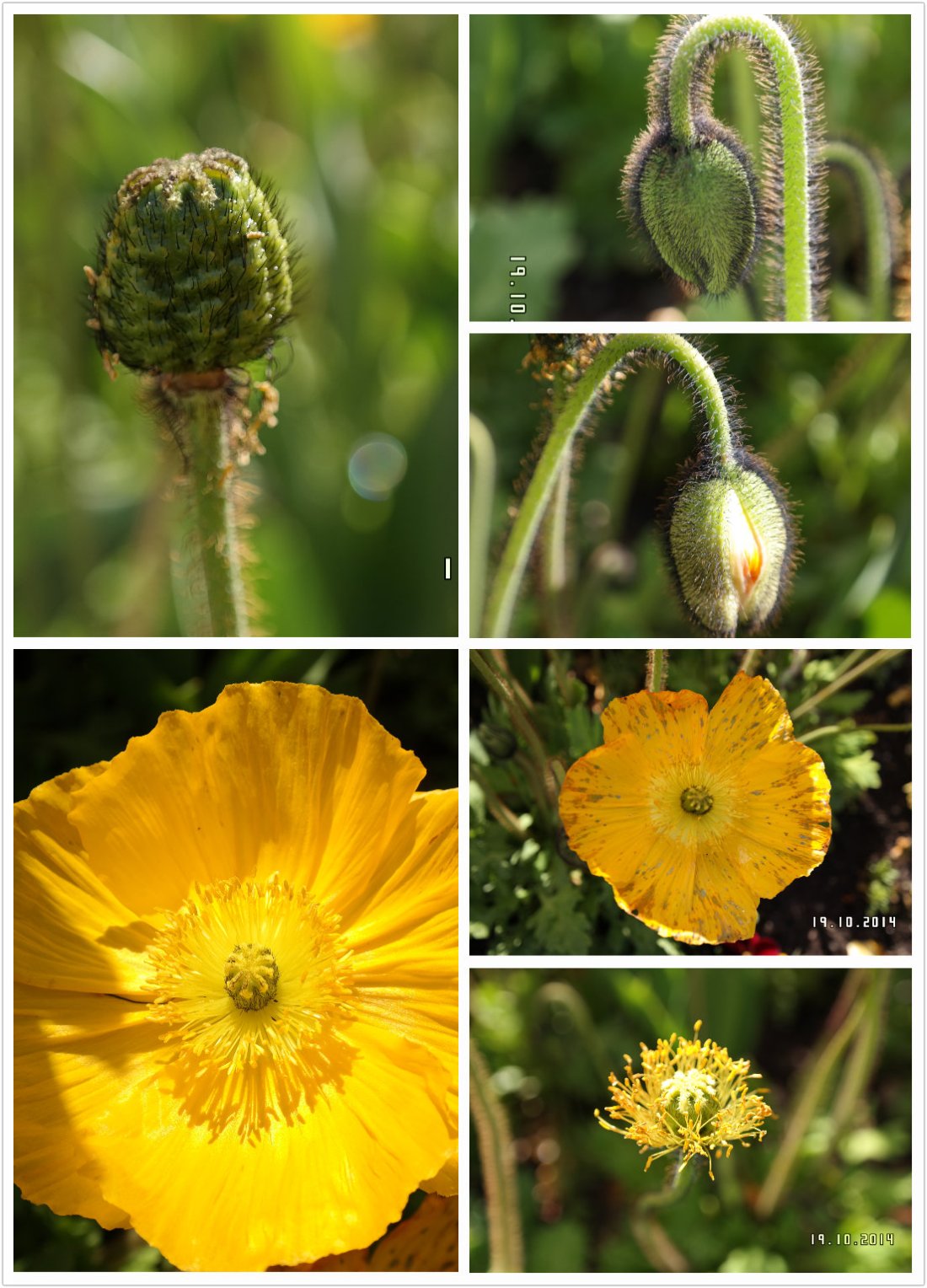 pt2014_10_19_22_20_53