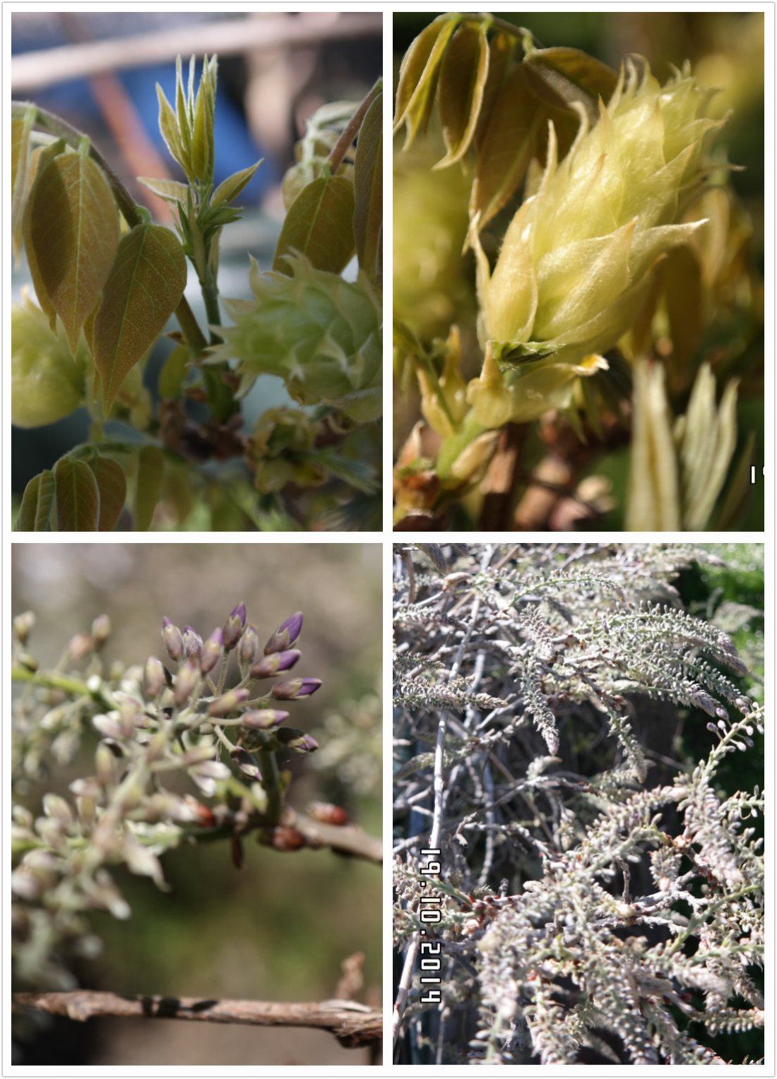 pt2014_10_19_22_29_47