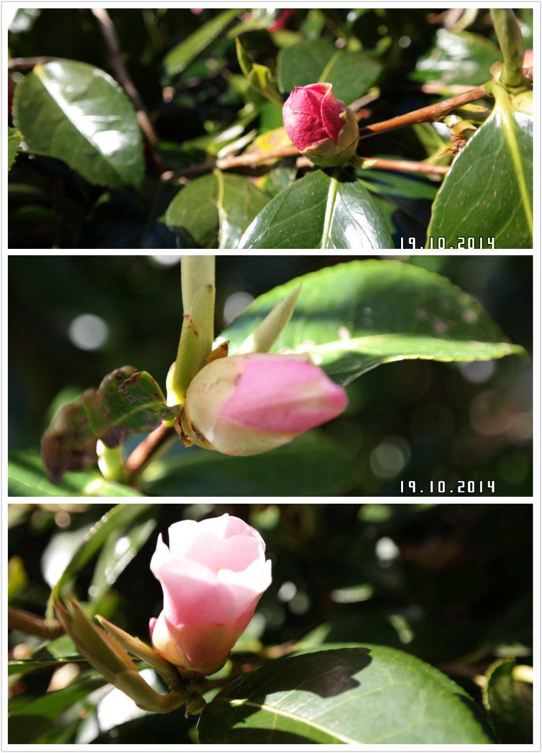 pt2014_10_19_22_32_12