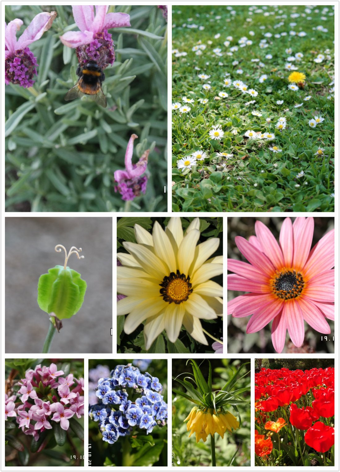 pt2014_10_19_23_04_12