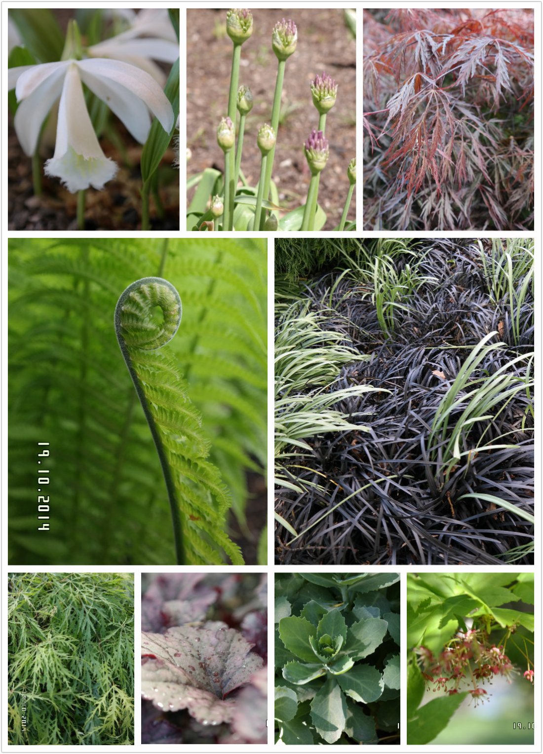 pt2014_10_19_23_12_27