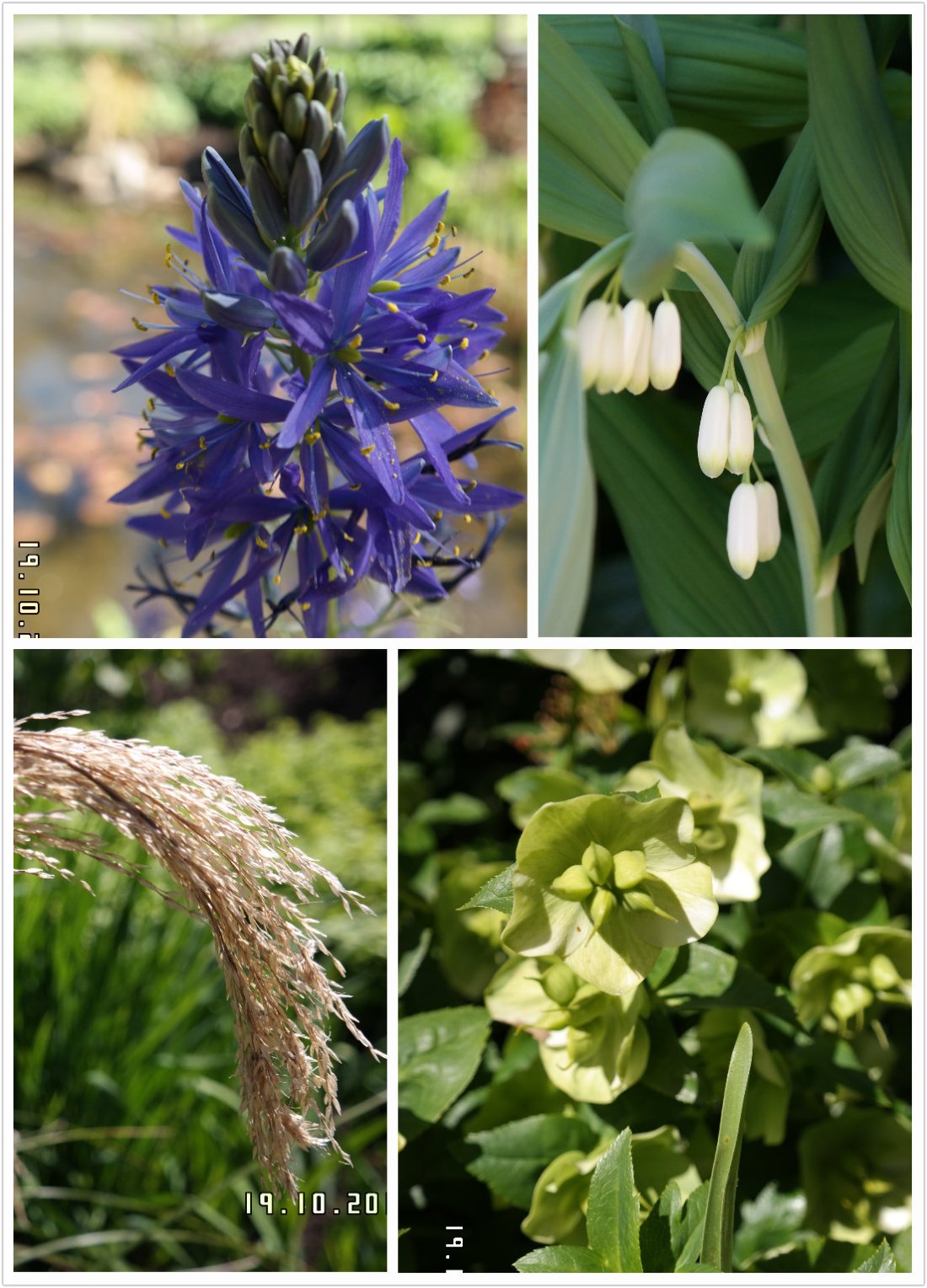 pt2014_10_19_23_45_37