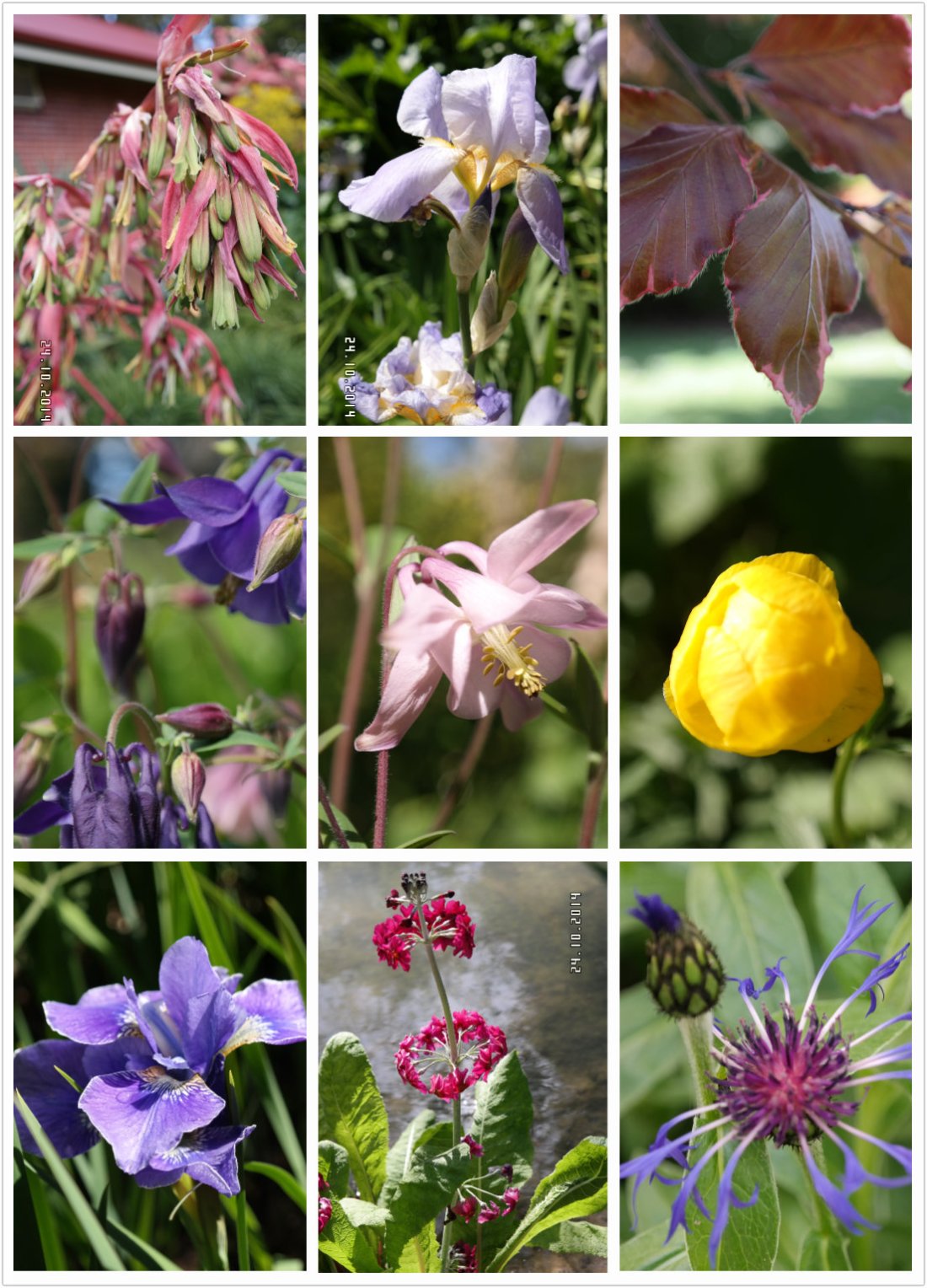 pt2014_10_25_00_57_40