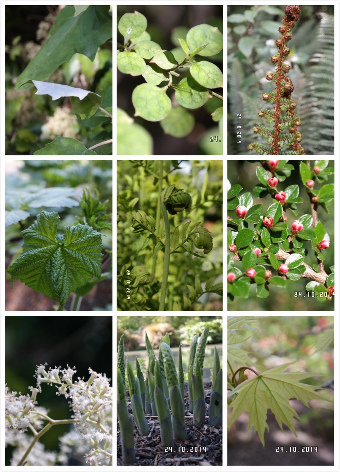 pt2014_10_25_00_59_20