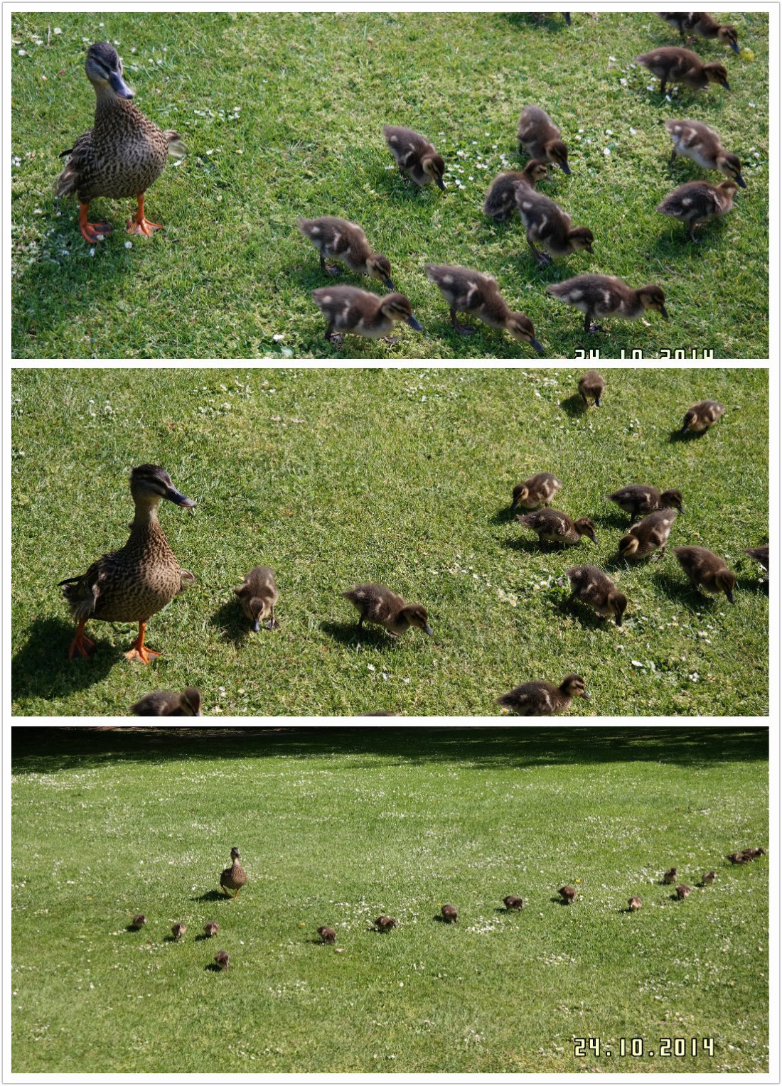 pt2014_10_25_01_00_22