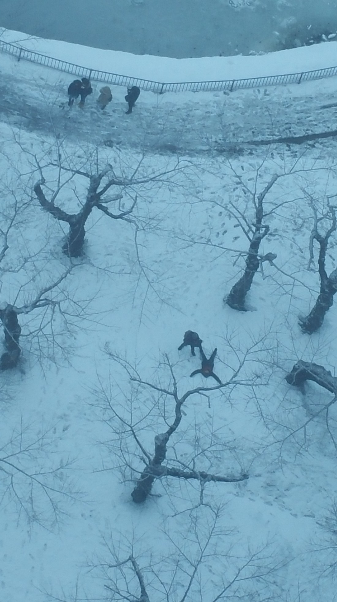 ninja 4 20171225_135247