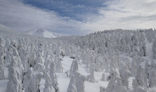yamagata snow monster