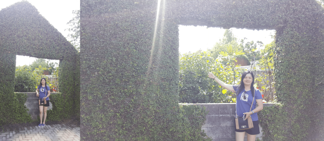 tudor garden our pic