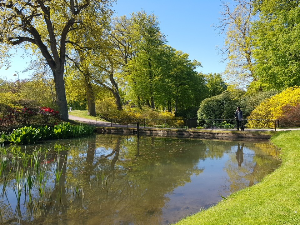 Pic_2019-05-15_104425