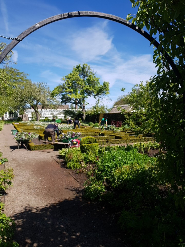 Pic_2019-05-15_105856