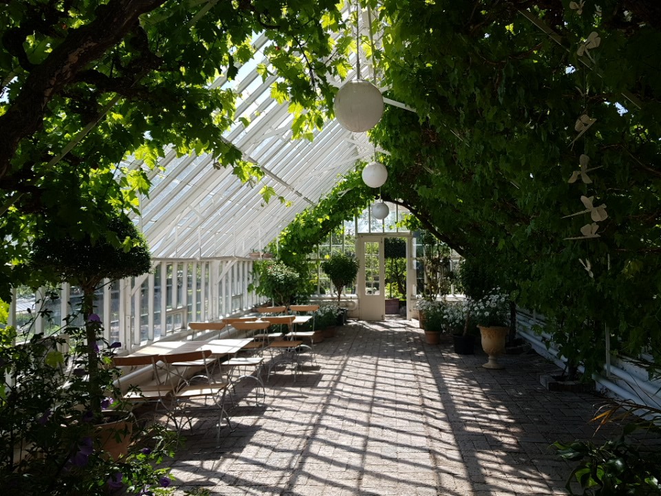 Pic_2019-05-15_111036