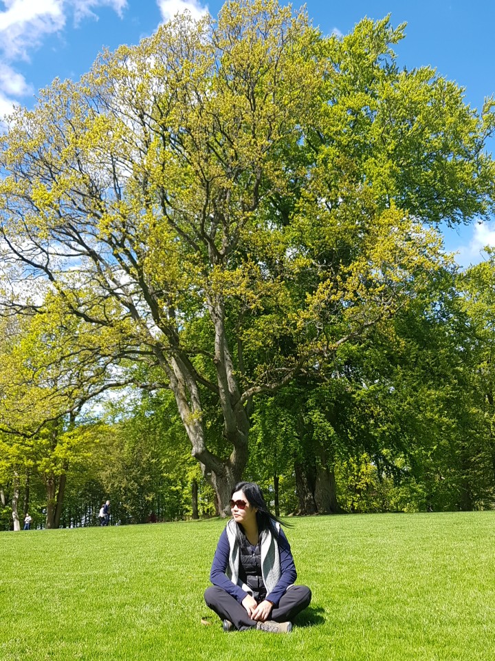 Pic_2019-05-15_122243